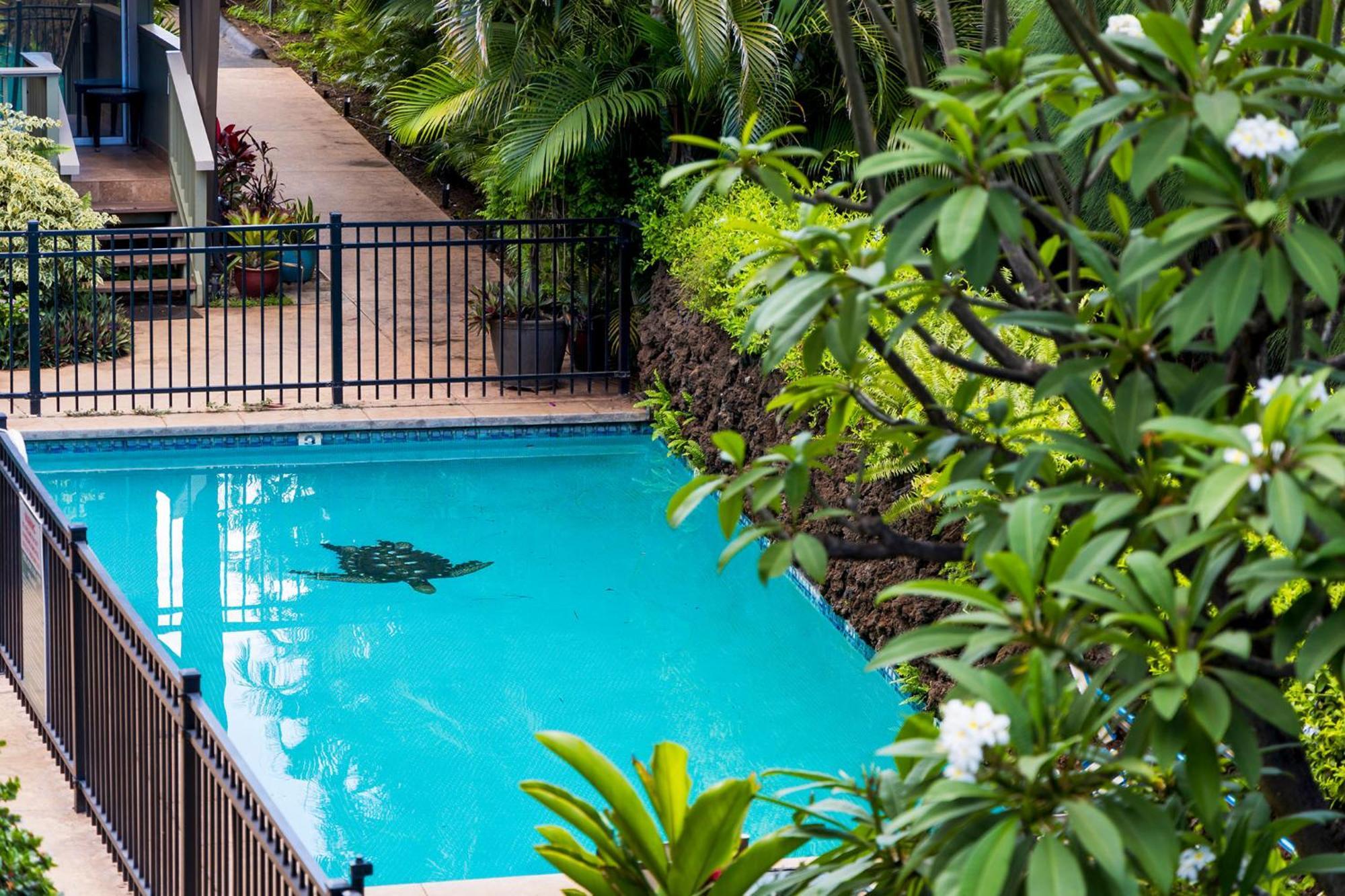 Kihei Kai Oceanfront Condos Zewnętrze zdjęcie